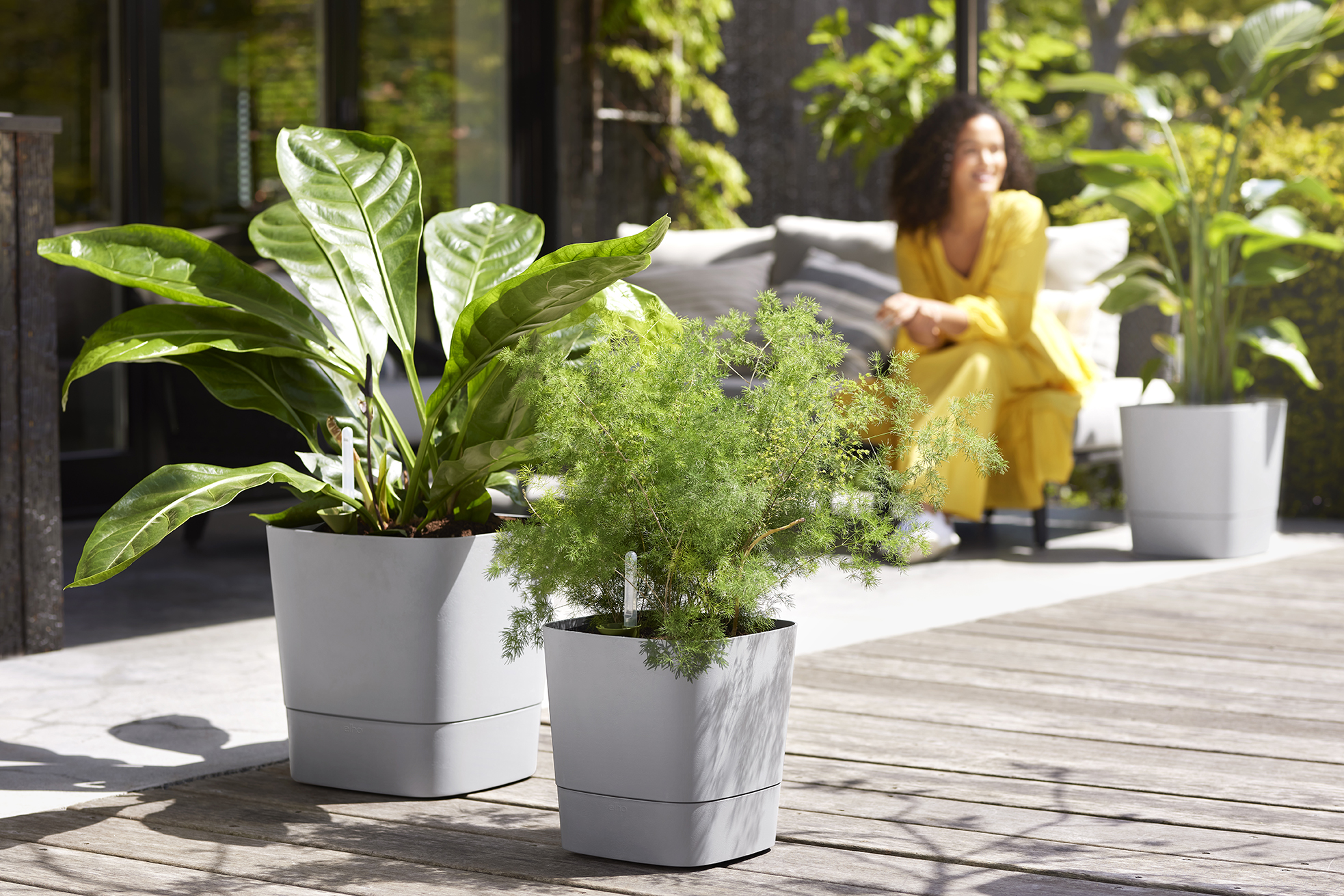 GREENSENSE AQUA CARE SQUARE