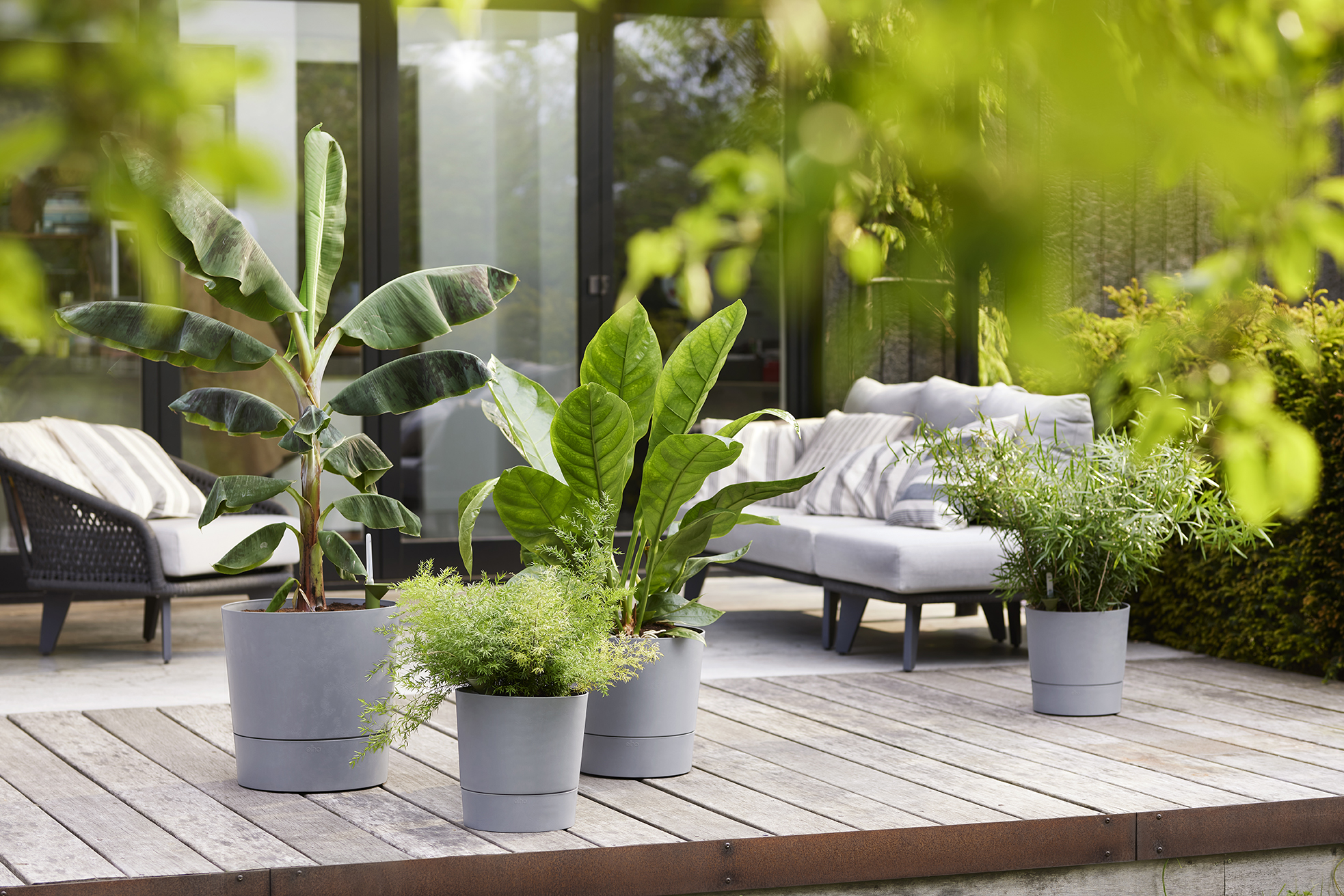 GREENSENSE AQUA CARE 