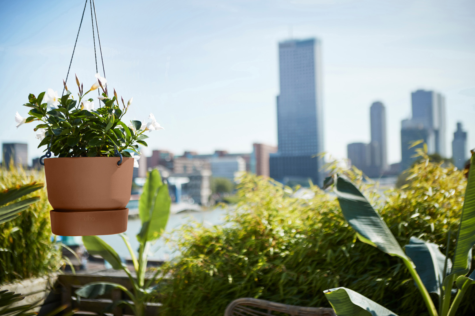 GREENVILLE HANGING BASKET 